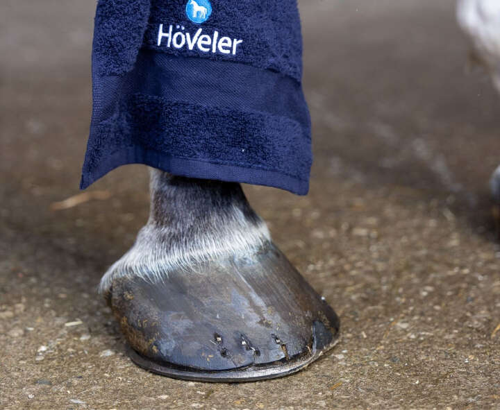 gut zu wissen hufe pferd hoeveler